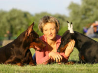 Socialization Training