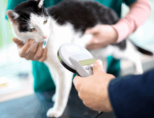 Pet Loss Prevention